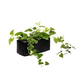 Petite jardinière massif en granit avec bords arrondis -Sansone Origine