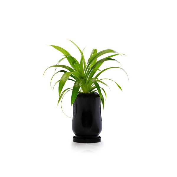 Vase tourné en granit - Elégance - Sansone Origine