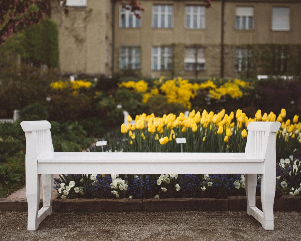 Acquerir une concession banc cimetière 